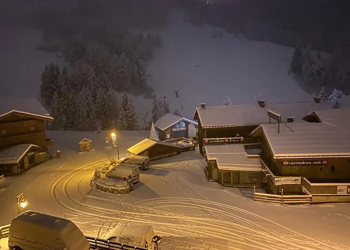 酒店 Les Rhododendrons