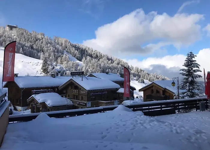 Hotel Les Rhododendrons *